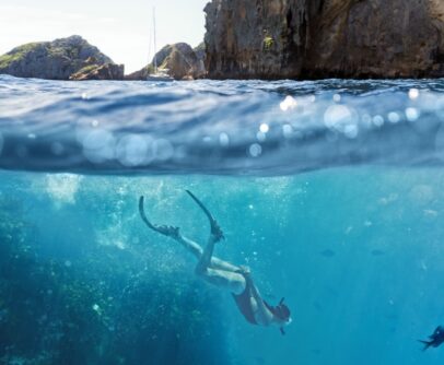 Poor Knights Islands, Northland