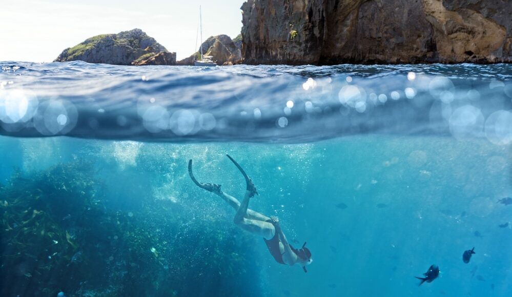 Poor Knights Islands, Northland