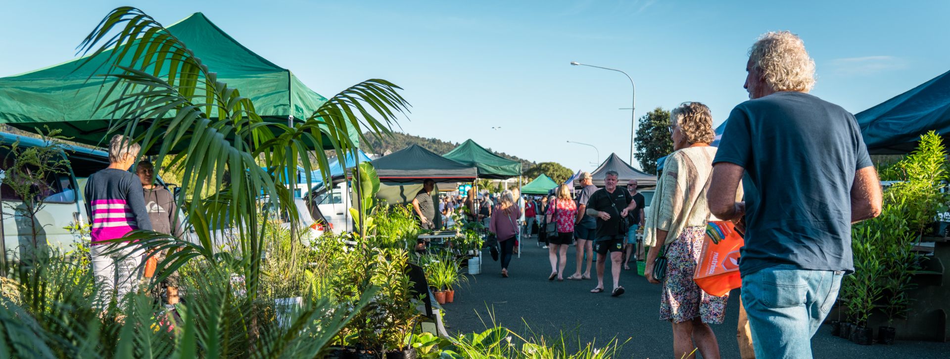 Whangārei Growers Market