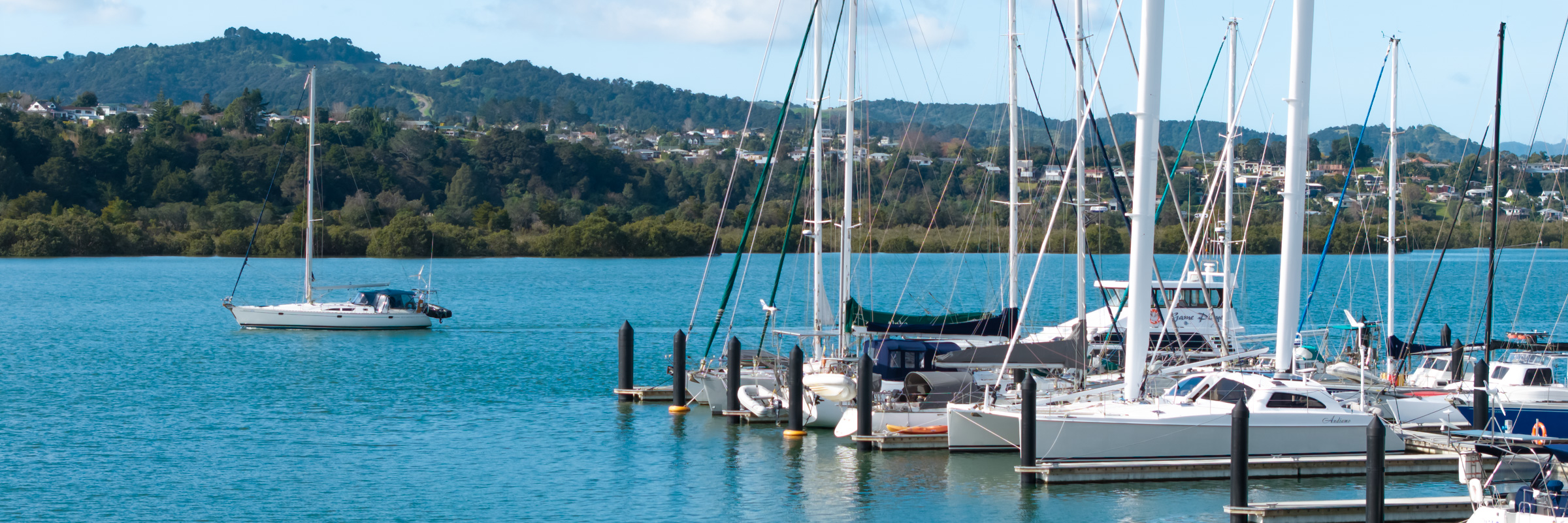 Port Nikau Marina