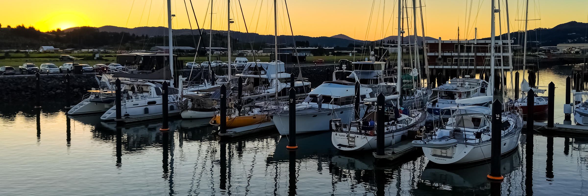 Port Nikau Marina at sunset