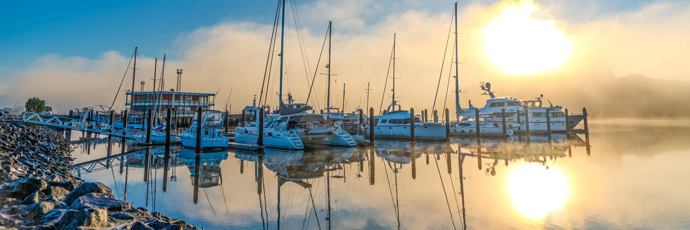 Port Nikau Marina during a foggy morning