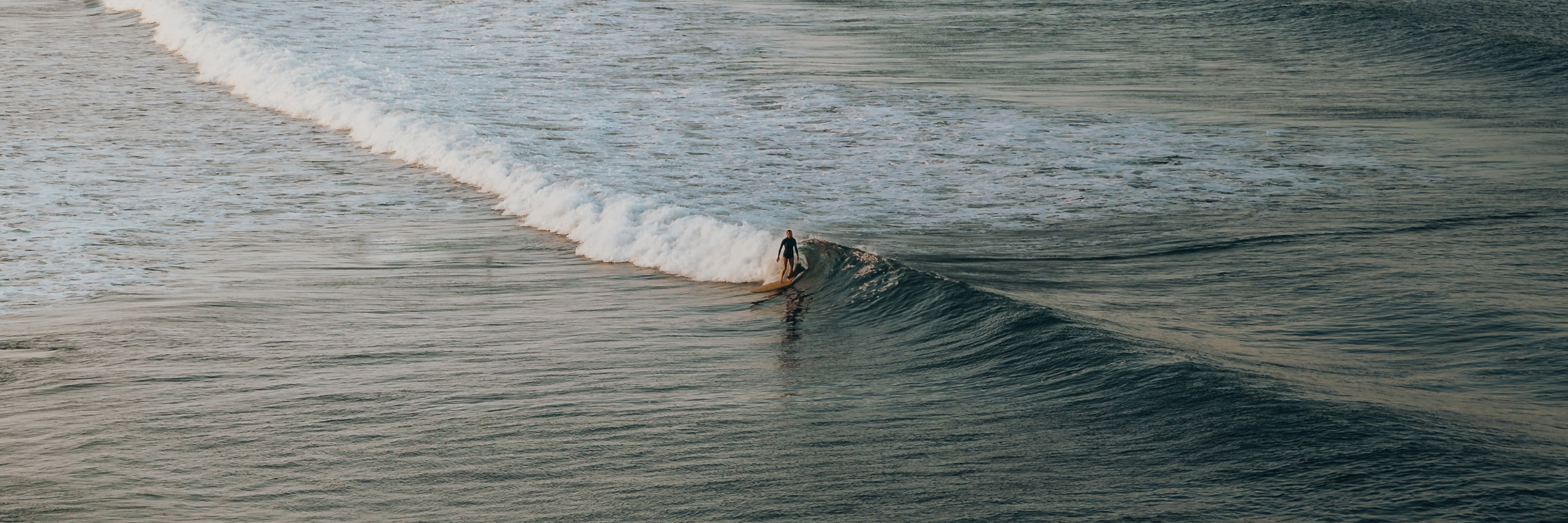 A surfer on a wave in Northland